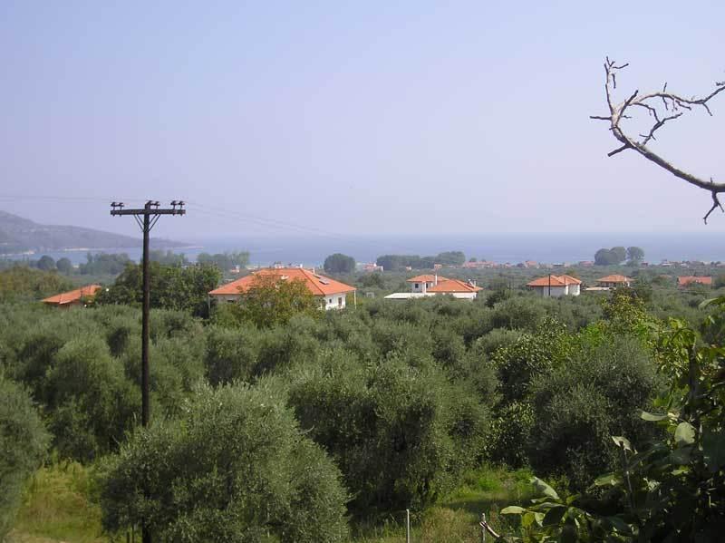 Hotel Irini Skala Potamia  Exterior foto